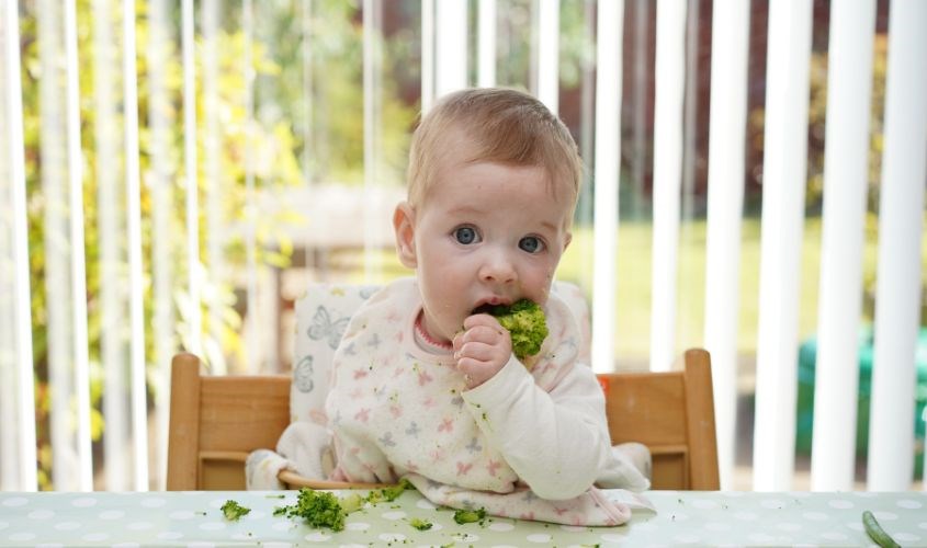 Rau củ chứa nhiều chất xơ và chất dinh dưỡng, giúp trẻ khỏe mạnh